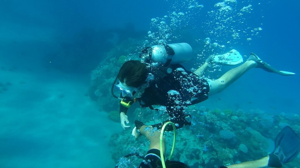 diving, sea, underwater, water, blue, summer, ocean, marine, dive, fish, deep, scuba, mask, nature, swimming, blue fish, blue fishing